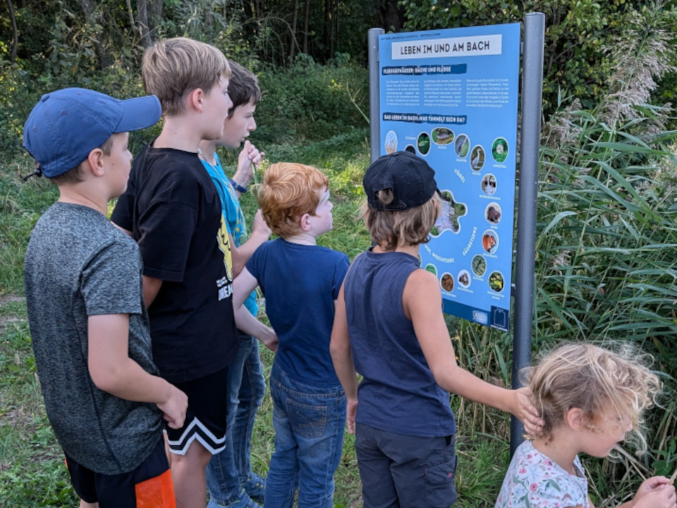 Mehr über den Artikel erfahren Fröhliche Kinderwanderung